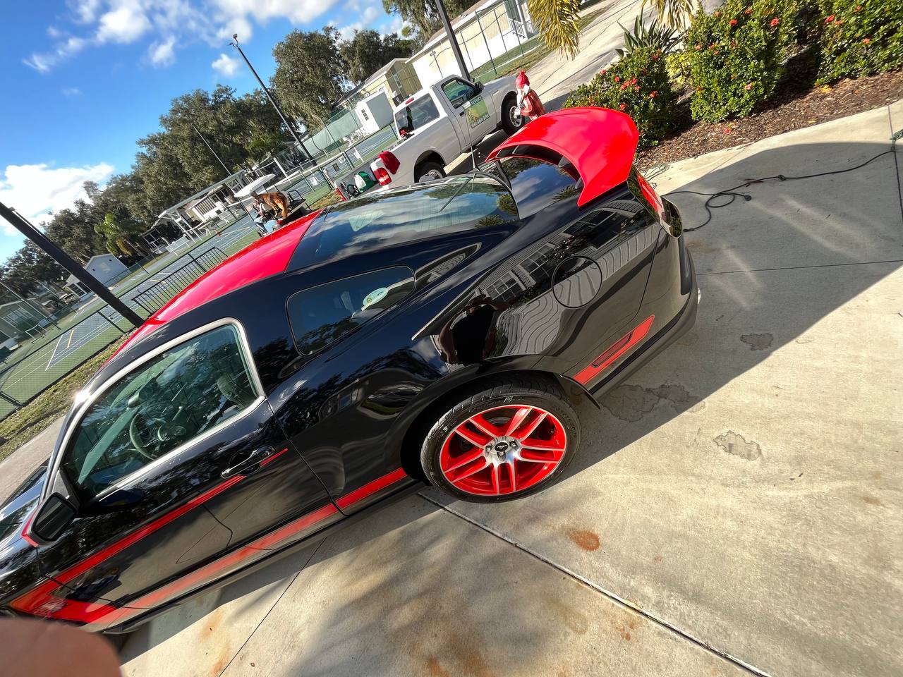Black & Red Mustang