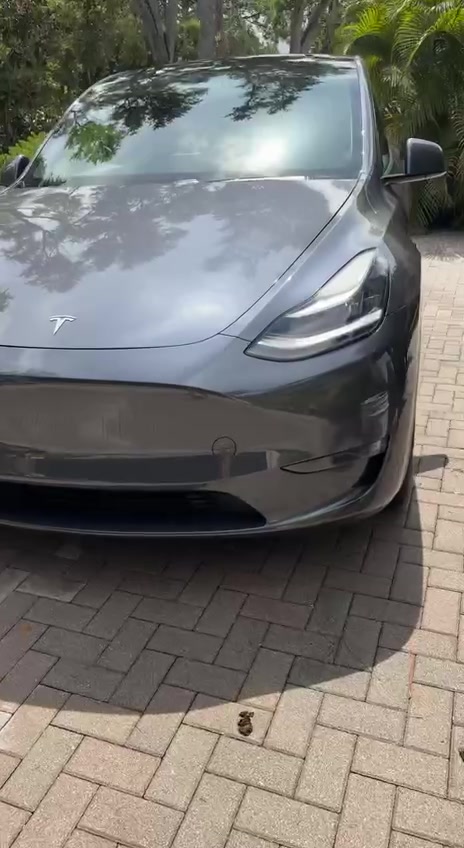 Tesla Model 3 Detail