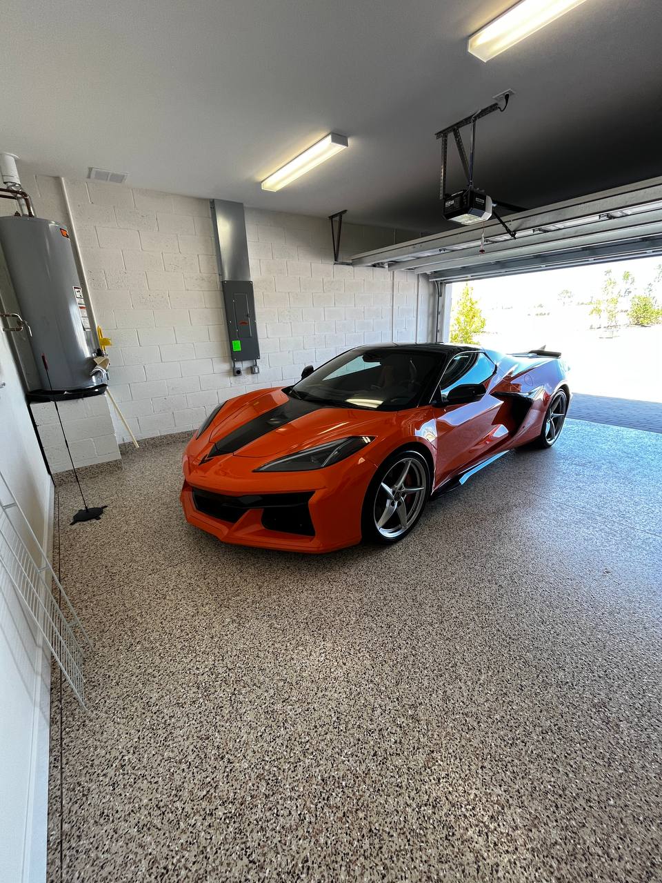 Professional Detailing Process